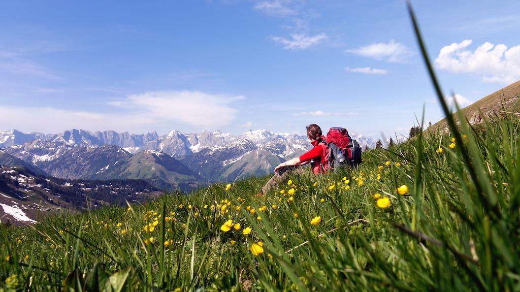 Alpen-Chalets Achensee Maurach  Buitenkant foto